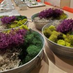 Plant and Sip Succulent Terrarium Party – Richardson