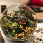 Succulent Terrarium Globe Workshop