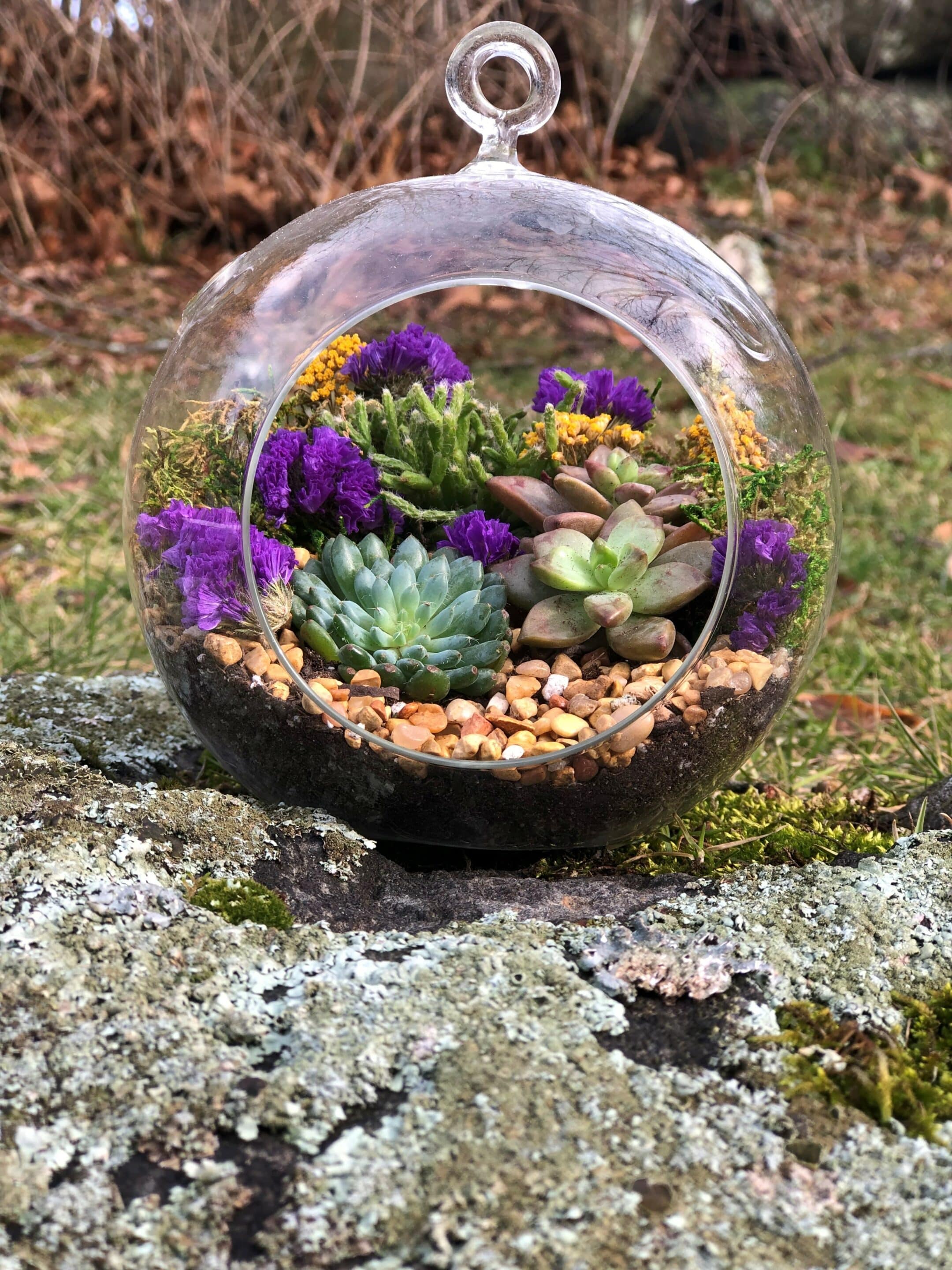 5 Acrylic Globe Succulent Terrarium Kit (Kid Friendly)